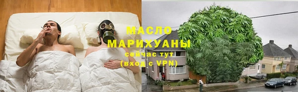 сатива Беломорск