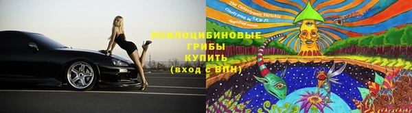амфетамин Белокуриха