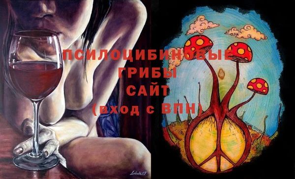 сатива Беломорск