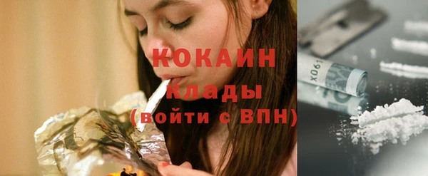 сатива Беломорск