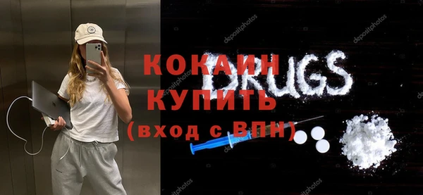 сатива Беломорск