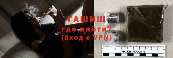 сатива Беломорск
