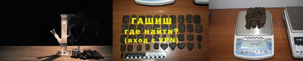 сатива Беломорск