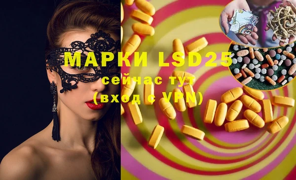 PSILOCYBIN Снежногорск