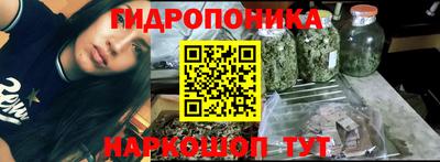 индика Апшеронск