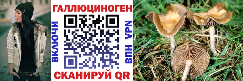 Псилоцибиновые грибы Magic Shrooms  Бутурлиновка 