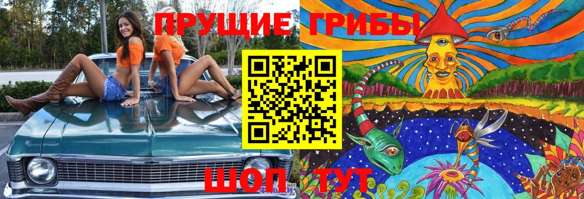 Галлюциногенные грибы MAGIC MUSHROOMS Бутурлиновка