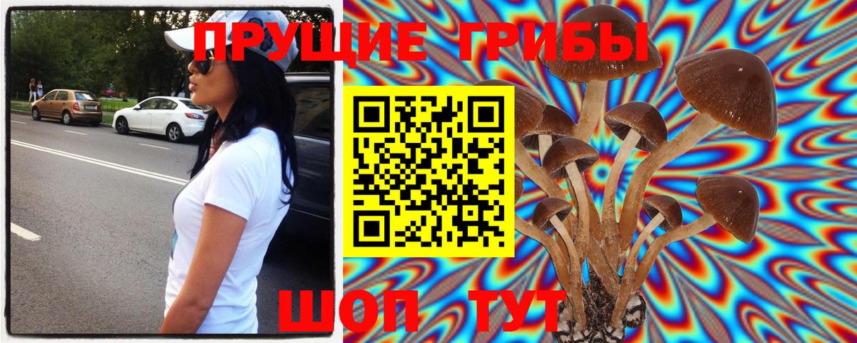 Галлюциногенные грибы MAGIC MUSHROOMS  Бутурлиновка 