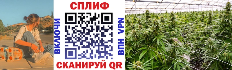 купить   Бутурлиновка  Шишки марихуана семена 