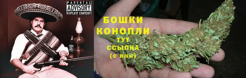 маркетплейс как зайти  купить закладку  Бутурлиновка  Марихуана планчик  blacksprut маркетплейс 